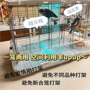 哈根隔板哈根L01隔板哈根大号亚克力隔板哈根鸟笼中间隔板防打架