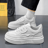 B218-2424-P45新款纯色男士低帮板鞋休闲潮鞋2024冬新款男鞋，男鞋休闲鞋，电商B218