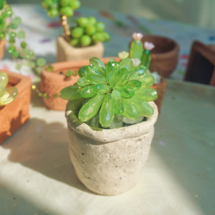 ＜小跳蛙＞手工串珠永生多肉工位办公桌迷你摆件微缩绿植仿真植物