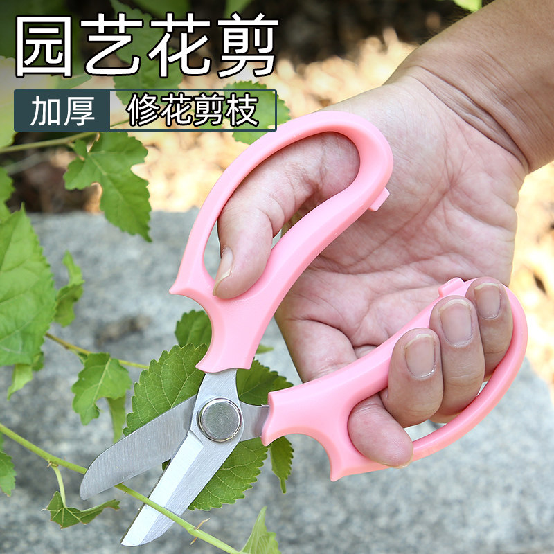 花艺剪园艺剪刀绿恒多款