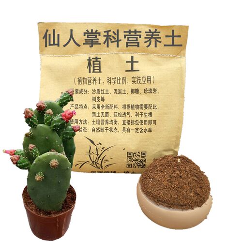 仙人掌沙漠玫瑰多肉类耐热专用土