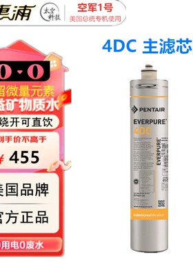 爱惠浦4DC直饮主滤芯超滤活性炭