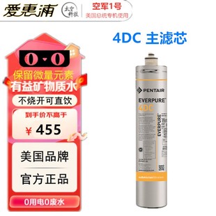 PENTAIR滨特尔EVERPURE爱惠浦4DC主滤芯家用净水器过滤EV9601-46