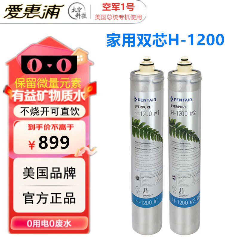 滨特尔爱惠浦H-1200主滤芯EV928201家用商用净水器直饮过滤替换芯
