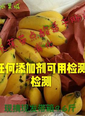 水果城现摘酸甜小米蕉无公害新鲜九斤包邮非大香蕉芭蕉美人蕉粉蕉