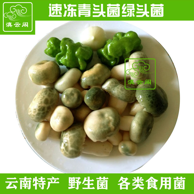 1千克新鲜冰鲜冷冻野生青头菌骨朵云南特产绿豆蘑菇火锅餐厅食材