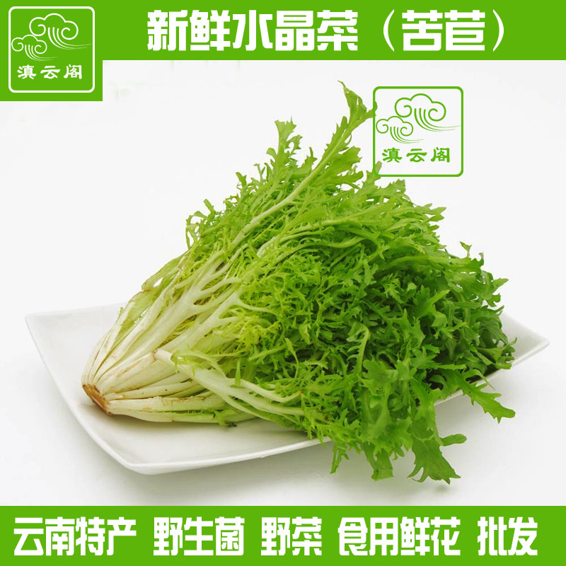 云南特产新鲜山茅水晶菜生鲜蔬菜狗牙苦苣菜酒店750g顺丰包邮