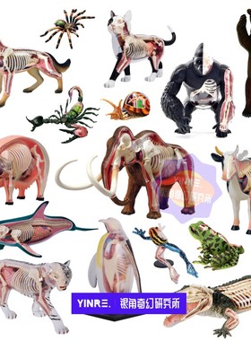 【YINRE】XXRAY 4d 半解刨动物猫狗熊猪海洋生物拼装益智模型送礼