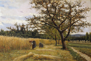 T933【西班牙】乔奎姆·瓦雷达（Joaquim Vayreda）风景油画图库