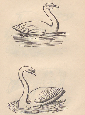 D737【美国】W. and R. Chambers 儿童初级绘画范例网传电子图库