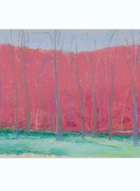 D529【美国】Wolf Kahn 绘画美术临摹艺考工美设计参考网传图库