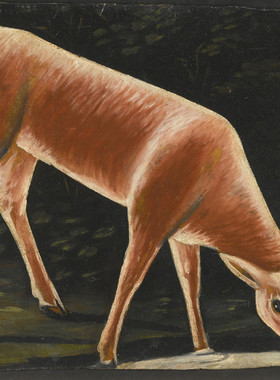 M269【格鲁吉亚】尼科·皮罗斯马尼（Niko Pirosmani）绘画图库