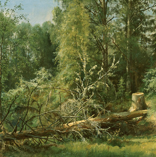 YC256【俄国】伊凡·伊凡诺维奇·希施金(Ivan I. Shishkin)
