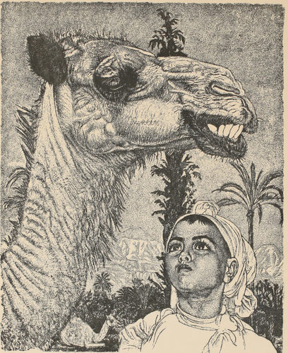 *R398【爱沙尼亚】爱德华·维拉尔特(Eduard Wiiralt)版画 图库