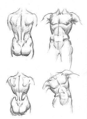 A330【美国】Andrew Loomis（Successful Drawing）美术电子图库