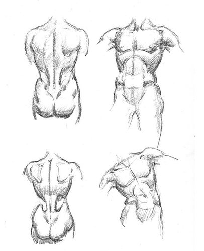 A330【美国】Andrew Loomis（Successful Drawing）美术电子图库