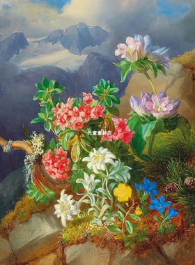 E787【奥地利】安德烈亚斯·拉赫（Andreas Lach）静物花卉图库