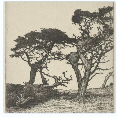 C284【美国】Ernest Haskell 版画插图素描速写网传电子图库