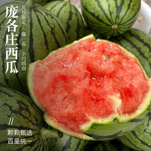 北京庞各庄西瓜当季手剥薄皮脆甜西瓜微带沙瓜味正红瓤纯正小西瓜