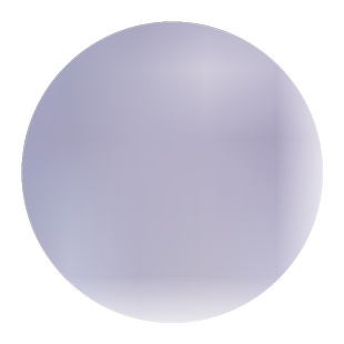 2026年贺岁生肖马纪念币收藏盒27mm卷币筒收纳盒十二生肖10元硬币钱币保护盒方桶30整卷筒12卷防氧化热带雨林