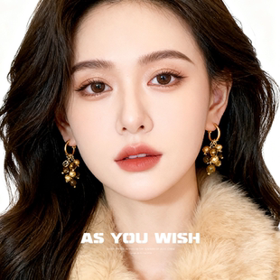 ASYOUWISH 气质虎眼石葡萄串珠耳钉美拉德轻奢高级感耳饰 复古个性