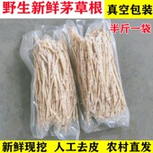 野生新鲜白茅根广东湿茅根凉茶食材去皮干净降火其他药食食品 包邮
