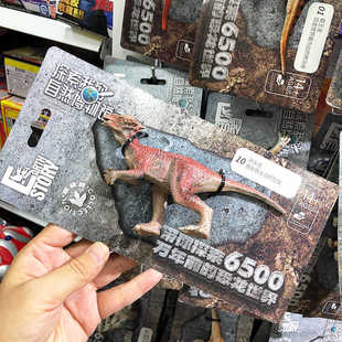 新凯纳自然博物馆恐龙玩具仿真15厘米食肉牛龙腕龙镰刀龙模型2-6