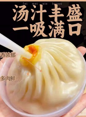 正宗蟹黄汤包灌汤小笼包儿童早餐半成品手工鲜肉包子汤包速食加热