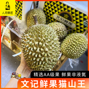 马来西亚文记空运鲜果猫山王d197高山老树榴莲进口整果带壳榴莲