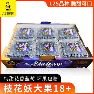 四川大凉山枝花妖花香蓝莓L25纯甜脆当季 新鲜大蓝莓顺丰 大果18