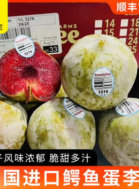 美国进口红心脆甜李子顺丰