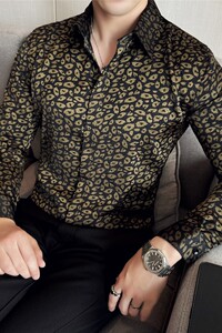 高级感亮面垂感抗皱气质长袖衬衫小众设计感豹纹衬衣潮CZ005-P63图片