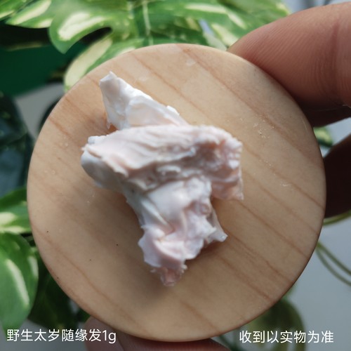 随缘发野生太岁天然肉灵芝零散体验装泡水净化水质土太岁聚肉视肉