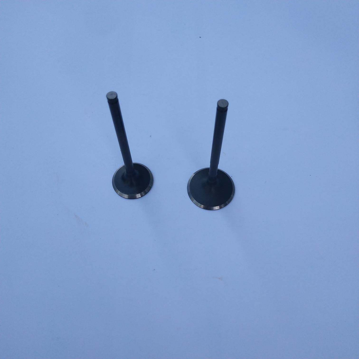 新大洲本田摩托车配件CBF150-F战神气缸体气门进气门排气门原厂正