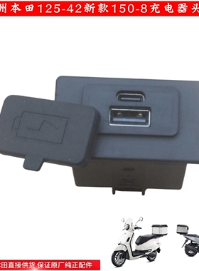 新大洲本田踏板车NS150GX充电头125-42/42AUSB插头150-8双头原厂