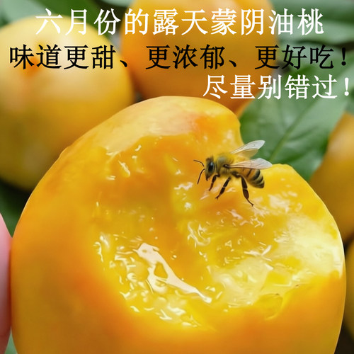 6月份蒙阴油桃更甜更好吃别错过