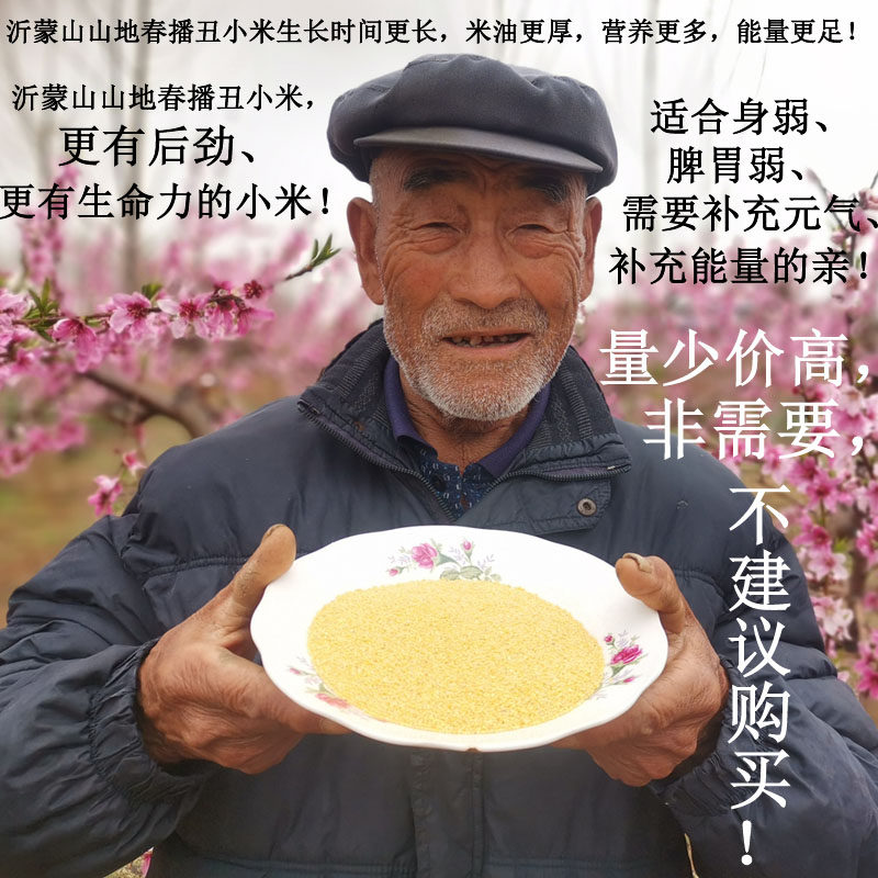 2025秋新山东沂蒙山春播小米粮食米油更多口感更好孕产妇宝宝辅食