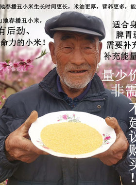 沂蒙春播小米米油更多口感更好