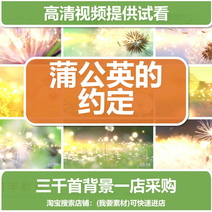 1660唯美蒲公英的约定高清LED视频背景素材