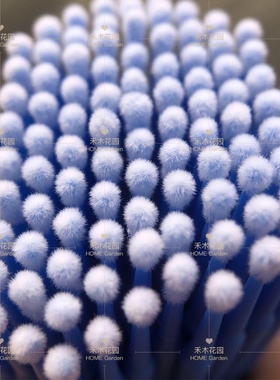 授粉笔 多肉水果授粉棒 生石花肉锥仙人球花卉种子管阳台园艺工具