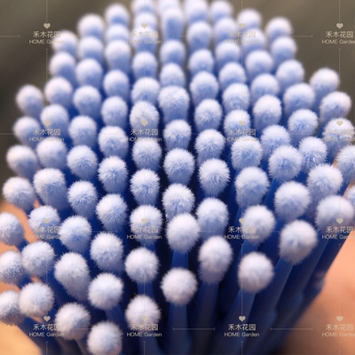 多肉蓝莓花卉景天水果授粉笔