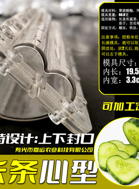 长条心形模具水果定型模具 苹果梨葫芦番茄黄瓜生长模具园艺工具