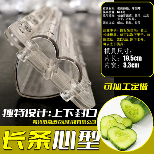 长条心形模具水果定型模具 苹果梨葫芦番茄黄瓜生长模具园艺工具
