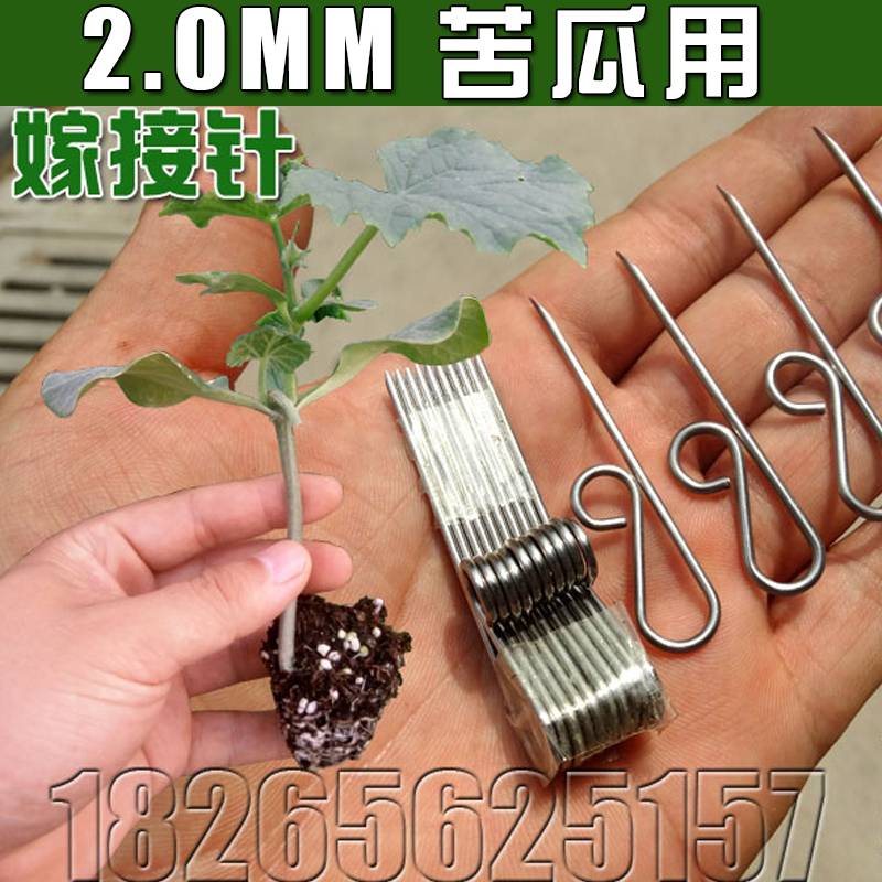 专用嫁接针嫁接刀芽接刀嫁接机芽接刀子器 甜瓜 黄瓜 西瓜 苦瓜