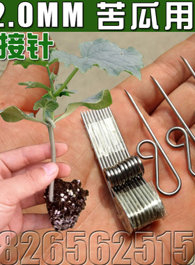 专用嫁接针嫁接刀芽接刀嫁接机芽接刀子器 甜瓜 黄瓜 西瓜 苦瓜