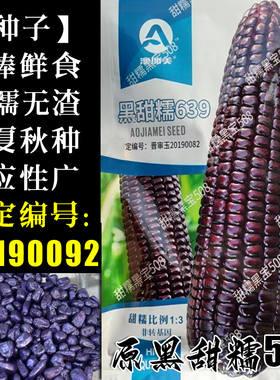 黑甜糯639玉米 原508玉米种子 甜加糯 山西粘玉米 高产