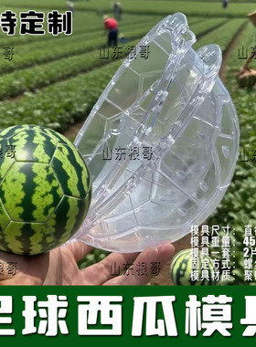 20cm足球西瓜定型模具可定制