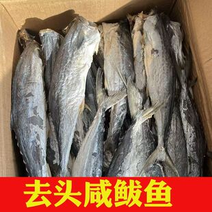 新货去头燕鲅鱼干山东咸鲅鱼风干盐渍鲅鱼海产品干货品质咸鱼