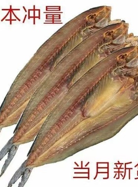 咸鲅鱼干500g马鲛鱼干刀鲅鱼干海鱼咸鱼干海产尖头燕鲅鱼海鲜干货