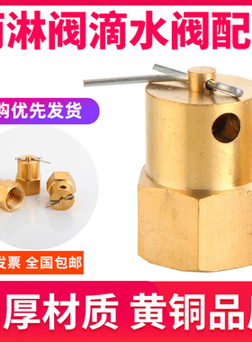 预作用配件装置滴水阀DN15泄水阀复位器雨淋阀配件ZSFM 铜排水阀